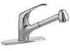 Reliant Kitchen Faucet