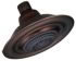 Danze 450 Shower