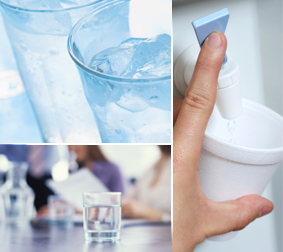 Everpure Water Filters