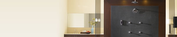 Moen Bath